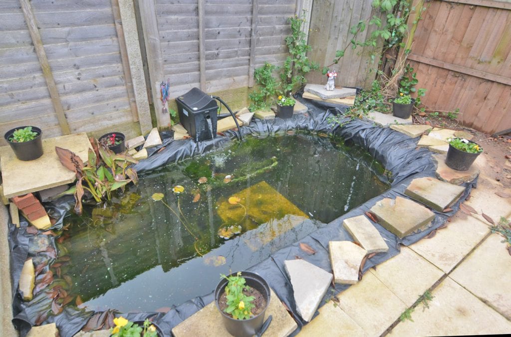 Fairmaid Grove, Clifton, NG11 - Back Garden Pond