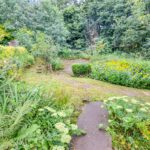 42 Crag View Cres - Back Garden