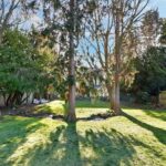 Bromley Road- Outside Garden