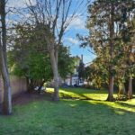 Bromley Road- Outside Garden