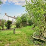 Derby Road, Ripley - Back Garden