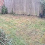 Colebrook Avenue - Rear Garden