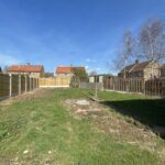 Wright Street - Rear Garden