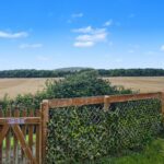 Sycamore Road - Garden View